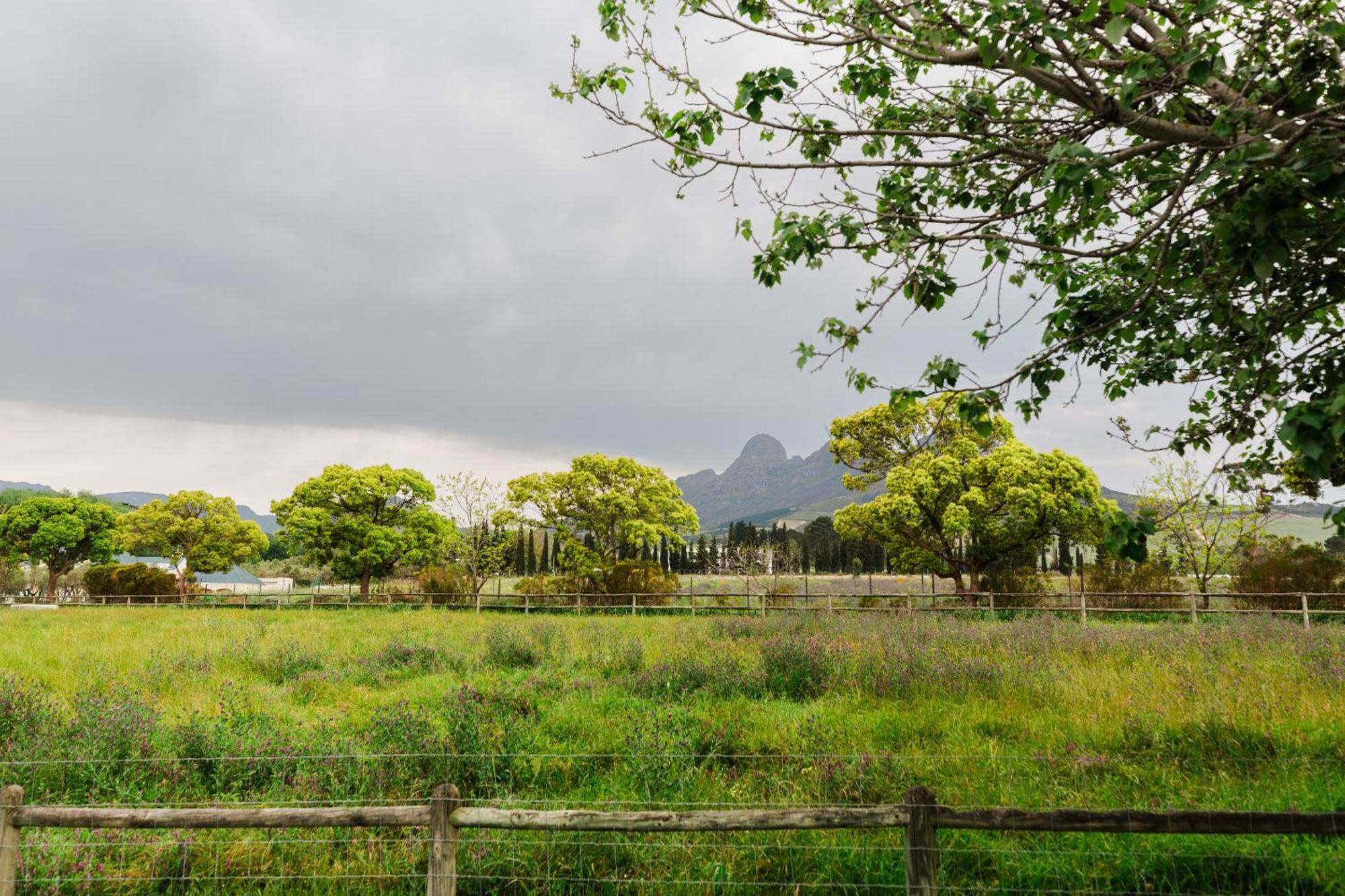 Marshden Estate Bed & Breakfast Stellenbosch Eksteriør bilde