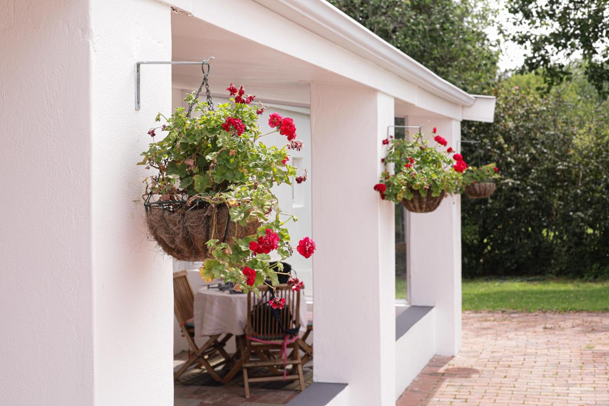 Marshden Estate Bed & Breakfast Stellenbosch Eksteriør bilde